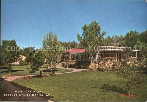 Kibbutz ayelet hashahar - ayelet,