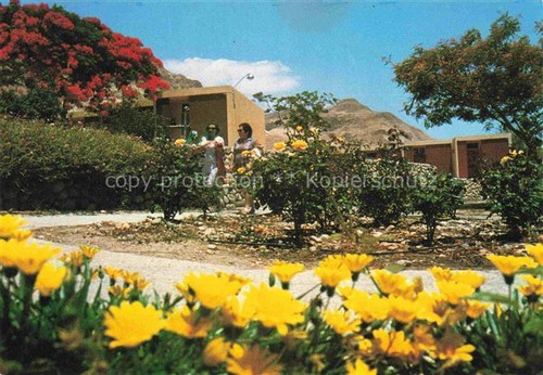 Ein gedi kibbutz - ein-gedi,