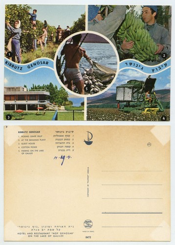 108446 kibbutz genosar - 108446,