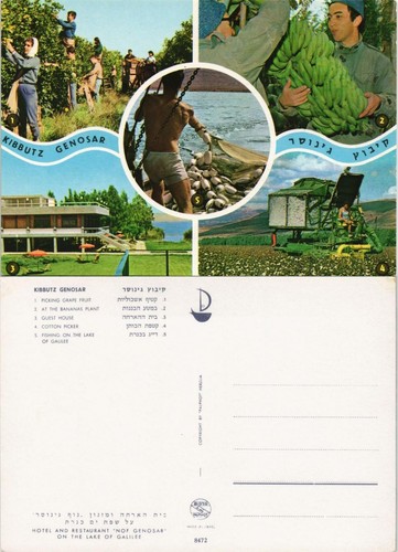 Israel kibbutz genosar - genosar, tra