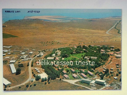 Kibbutz lavi israele lower - kibbutz,