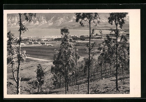 Kibbutz kinereth vista - kibbutz, kinereth,