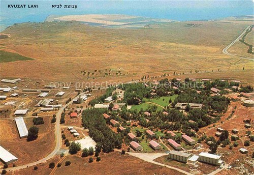 Lavi kibbutz israel - lavi,