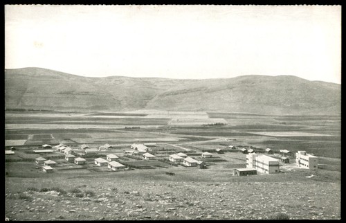 Giudaica palestina rara - giudaica,