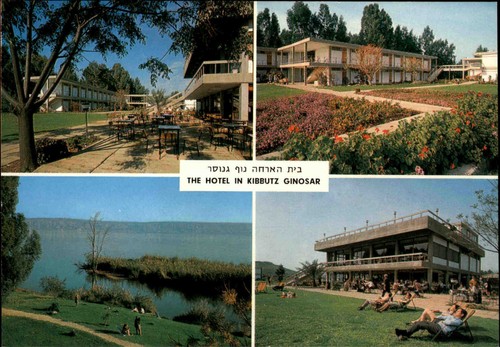 Cartolina israele 1970 - cartolina, ~