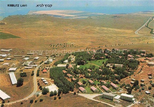 Israele kibbutz lavi bassa - israele,