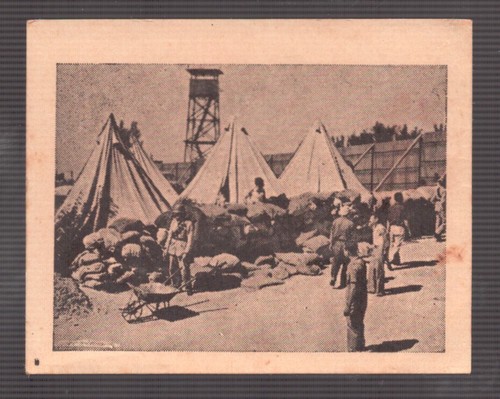 Giudaica kibbutz hanita card - hanita,