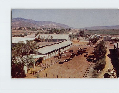 Cartolina kibbutz hasorea - cartolina,