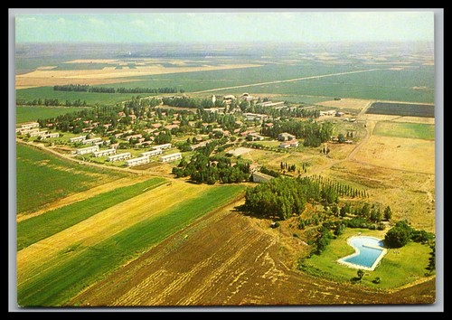 Cartolina kibbutz afek - cartolina,