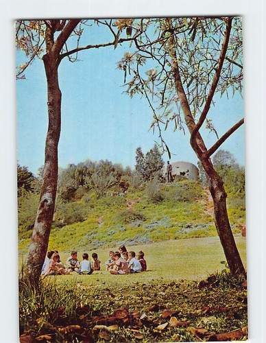 Cartolina scena nel - cartolina, kibbutz