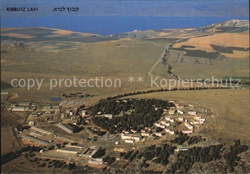 Lavi kibbutz - lavi, ripresa